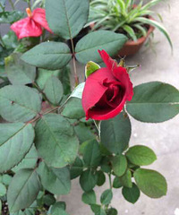 һ���һ�������������