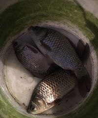 �ոպ���׽���� ����15���ӾͿ�������