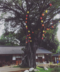 �������һ�ӏ���ă���