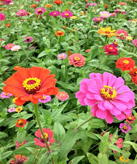 ������ɽ���ͻ�֮�á�