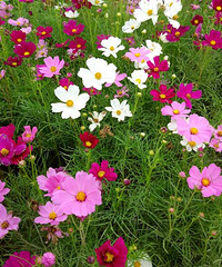 ������ɽ���ͻ�֮�á�