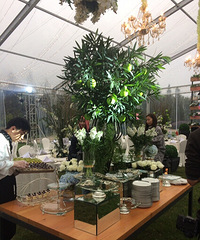 �������žƵ꣬������������һ����������