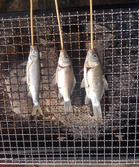 Ұ�����տ� ���ⳬ����  �����ӹ���̫����ˣ�