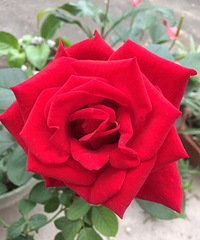 �ݱ��������ⶼ���ᰮ