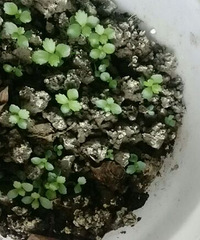 �������������