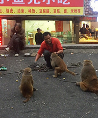 ����·�Ͽ���һĻ����