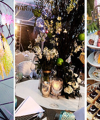 ˢ������Ȧ�ļ����ⳡ���� ֻҪ5W��