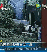 С��������è������������è ����ȴ����ס�˴��ȣ����