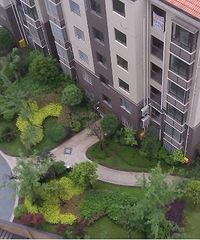 ��֣������Ƕ���Ů�� ��ĸȥ��ȴ�޷��̳з���