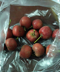 ��С�Ե����ɽ�Ƭ�����ڿ������ʵ���