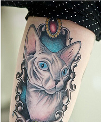 ��Ư����