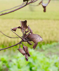 �����ȫ����·��