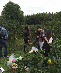 19¥�̫������