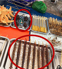 ��ʳ�ھ����嶾  �ŵ�������İ¶��������ȶ����ˣ�