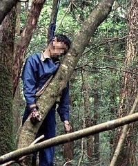 �ţ�����һ�����峿�����ϵ�  �ɼ���������������