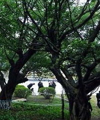 求问!在一中和实小周围哪个小区物业管理比较好?