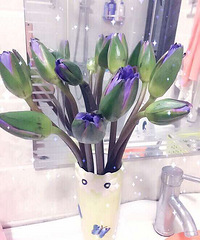 ����ʲô��