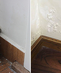 ˮ�ܱ��� �ҵľ�װ�޻鷿������