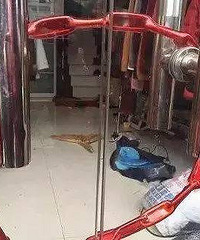 ���̣���ɱ���ӡ������ĸ��ü������˺��ӣ�ֻ�����Ӳ�Ը��