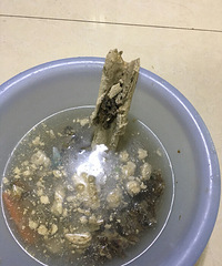 ����ˮ���۹�