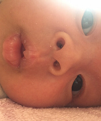 ������ı���