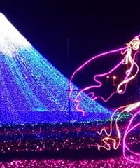 �ܼ�ׯ԰�ƹ������Ʊ����ͣ�