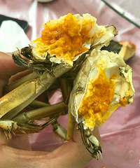 �Լ����κ���з з������ô�÷� һ��������һ���̣�