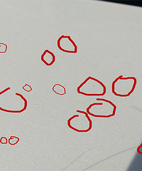 ����ĳ� ���������˽�������������������