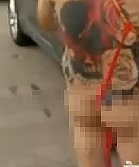 ���ˣ����ɽ��ú첼�������ν�