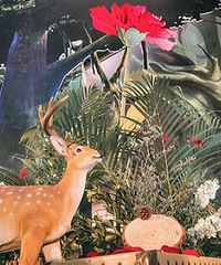 �ҵ�ɭϵ����