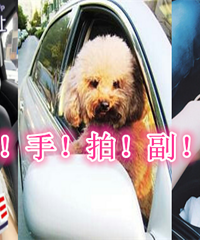 ����ɹ���� �ö��ñ���̺��