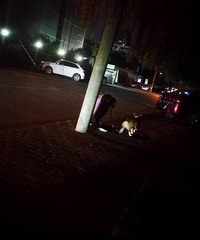 ������Ϊ��