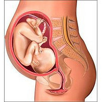 ��28��+3�� B����ʾ̥�̾����ڹ�����3.5cm��