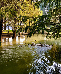 ��ͷ����ڴˣ�