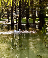 ��ͷ����ڴˣ�