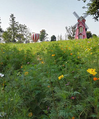 �߹�·����Ҫ������ô���ķ羰