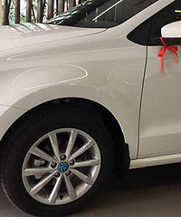 ������ɫ���� �³�����������