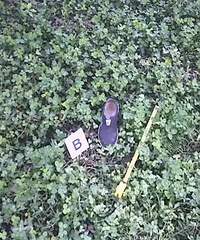 ƽ�����ӿ��綯��ײ����  ���ݺ����������� �Լ�ȴ�س������...