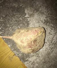 ��û�м�����ô��ķ���