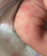 �������������ϳ���һ������ ������