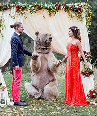 ����һֻ��Ĵ����ܣ��䵱��֤���˵Ľ�ɫ