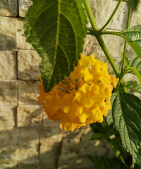 �ٽ�����