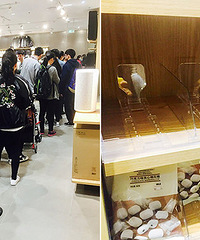 ��ӡ��Ʒ��ҵ��������������� ���ܶ�����