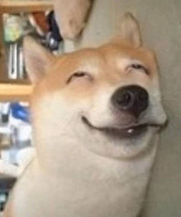 [����]���ڼ�������ѧ���� ������Ů�������Ϻ�����