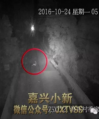 ����������̫�Ⱥ�����ײ�� ��һ������  �ڶ�����֤��ʻ...