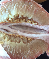 ����Ƥ���ⲻ�족���������ӡ� ����Ʒ�ֻ��Ǳ�Ⱦɫ�ģ�