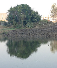 �᲻���ֶ�һ����ͷ�ӣ�