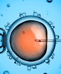 ����һֱ���� �Թ�ȡ��20��ö ����8��� ����...