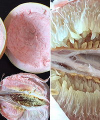 Ƥ���ⲻ�� ��Ʒ�ֻ���Ⱦɫ�ģ�