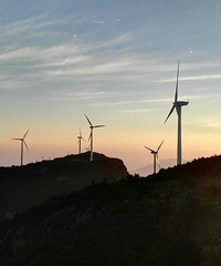 �ճ�����